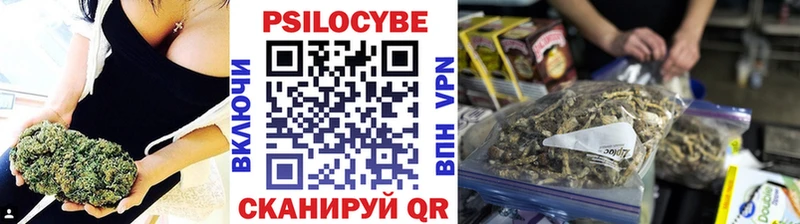 Псилоцибиновые грибы Magic Shrooms  что такое наркотик  Богданович 