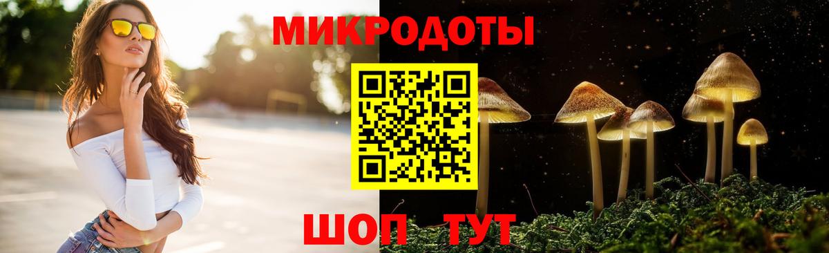хочу   Вход с VPN  Галлюциногенные грибы прущие грибы  Богданович  Псилоцибиновые грибы Psilocybine cubensis 